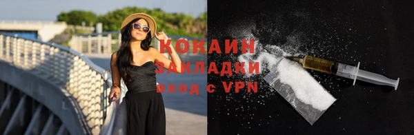 прущие грибы Касимов