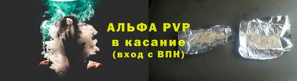 прущие грибы Касимов