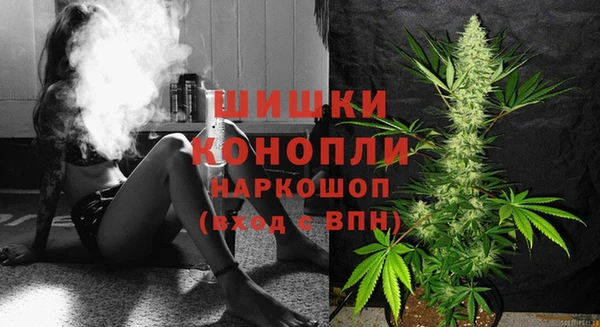 прущие грибы Касимов