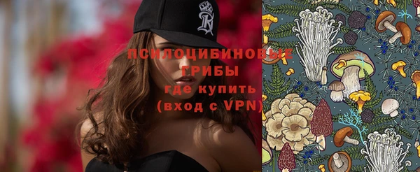 MESCALINE Каменка